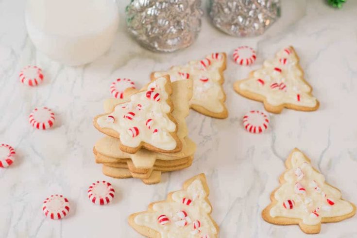 a dozen Candy Cane Forest Sugar Cookie Trees