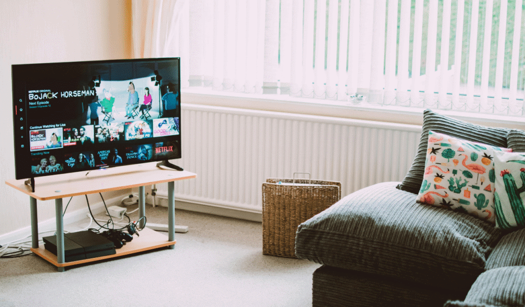 The Greatest 1-Season Shows of the 2010s, Ranked