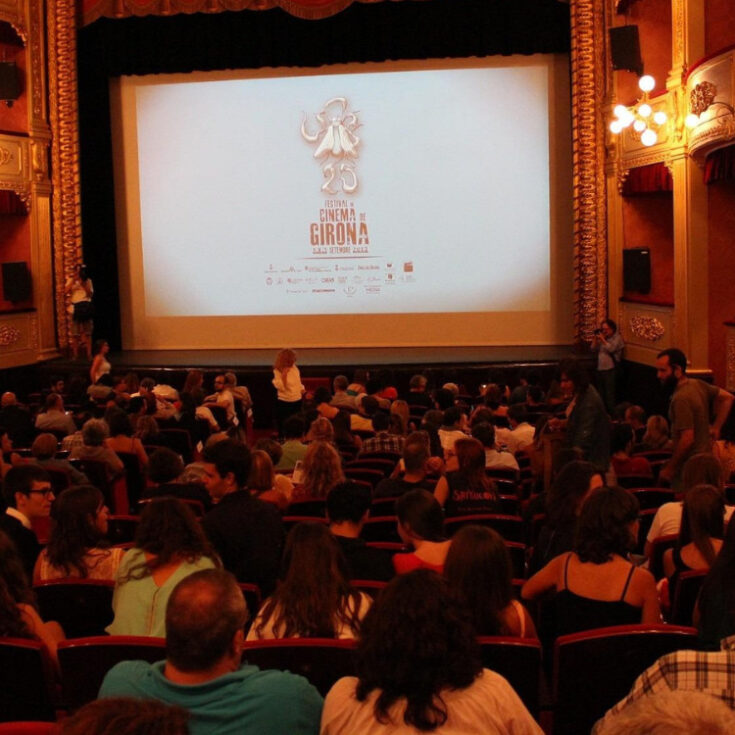 10 Movies That Feel Cinematic Even in a Small Living Room