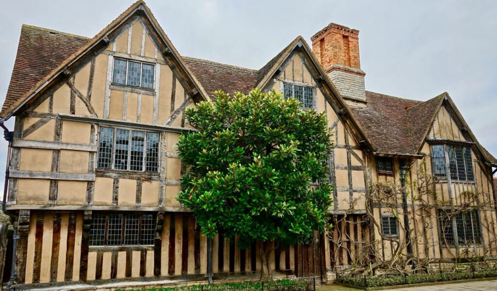 Reduced Political Complexity for Newcomers